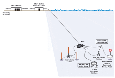 Undersea network of instrument platforms, two with device servers, linked to a node that connects to the shore via fiber-optic cable.